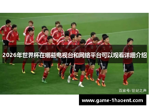 2026年世界杯在哪些电视台和网络平台可以观看详细介绍