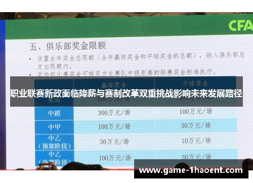 职业联赛新政面临降薪与赛制改革双重挑战影响未来发展路径