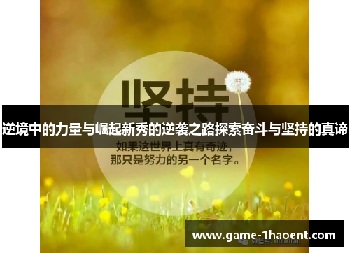 逆境中的力量与崛起新秀的逆袭之路探索奋斗与坚持的真谛 逆境中的力量与崛起新秀的逆袭之路探索奋斗与坚持的真谛